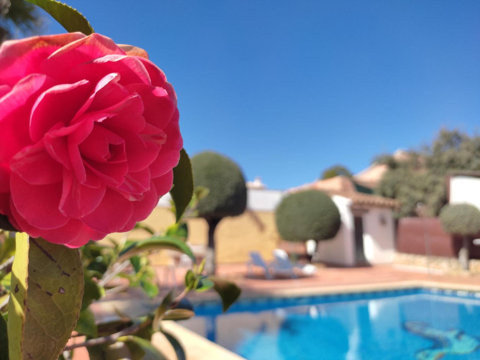 Villa Casa Maleda Hornachuelos Esterno foto